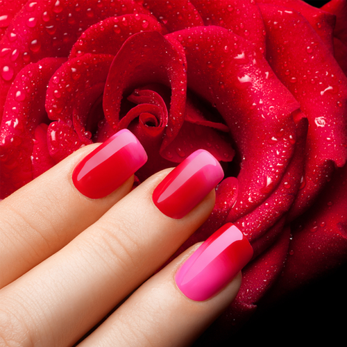 Nails Services